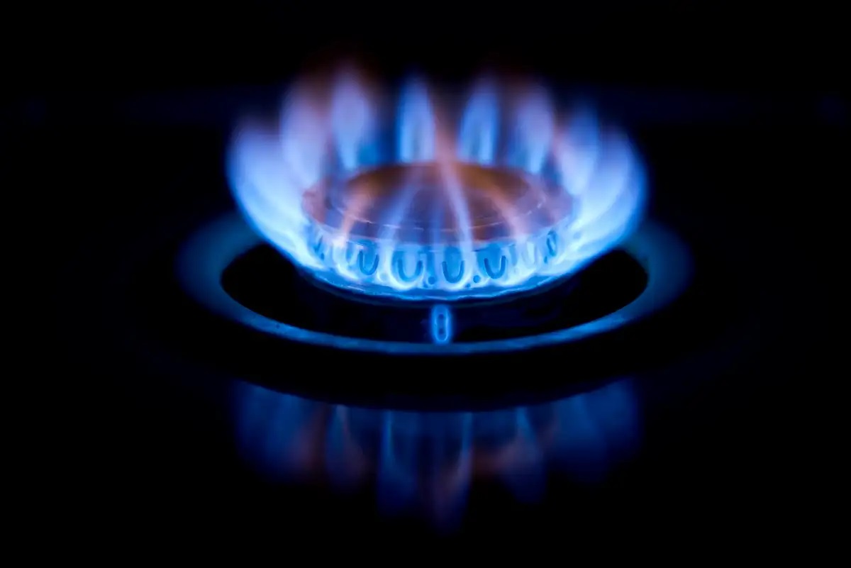 Gas Stove Repair & Service